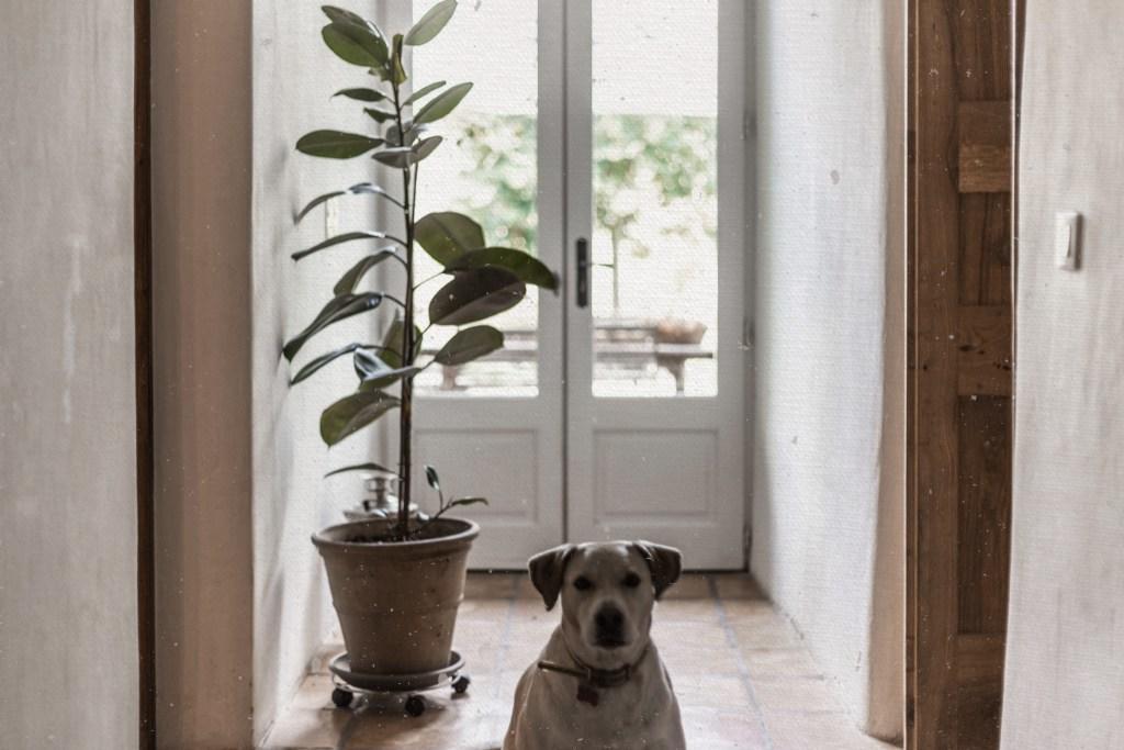 Residence Crone Castillon-en-Couserans Εξωτερικό φωτογραφία